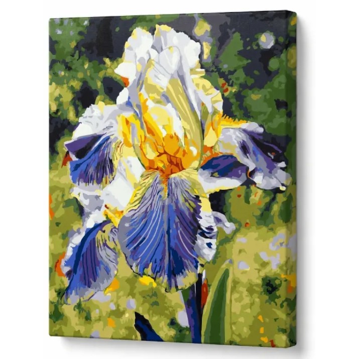 Картина по номерам Art Gallery Econom Голубой ирис 30x40cm (EX7956)