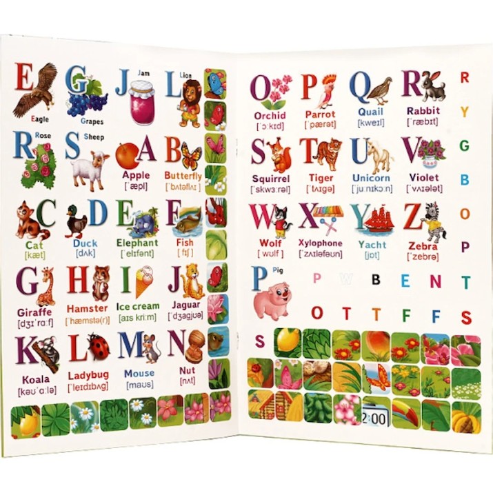 Книга Alfabetul englez (9789669474476)