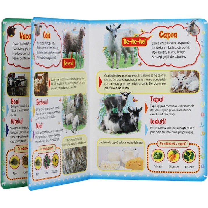 Книга Prima mea carte Animale domestice (9789669137333)