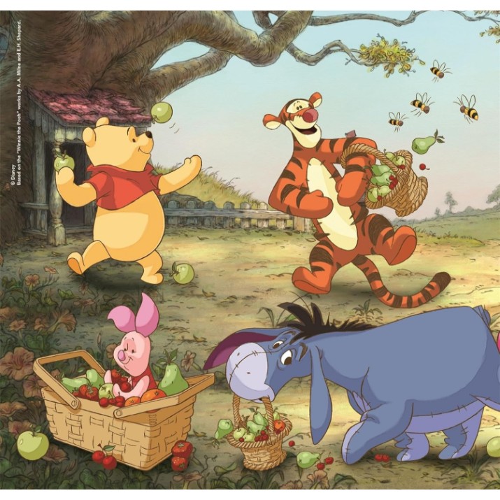 Puzzle Clementoni 3x48 Square Disney Winnie the Pooh (25063)