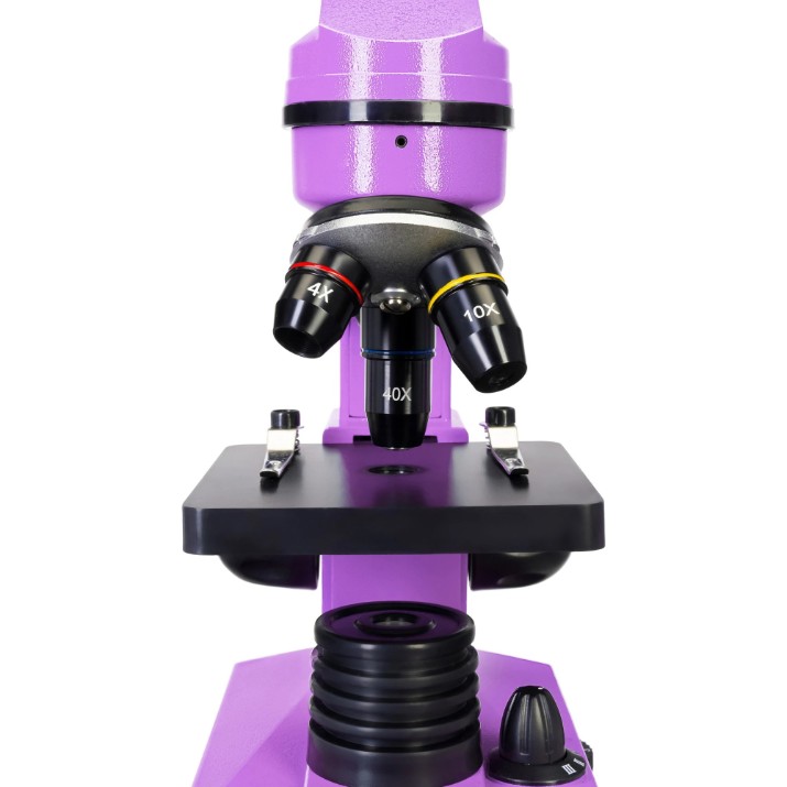 Microscop Levenhuk Rainbow 2L Amethyst