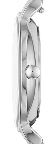 Наручные часы Skagen SKW2648