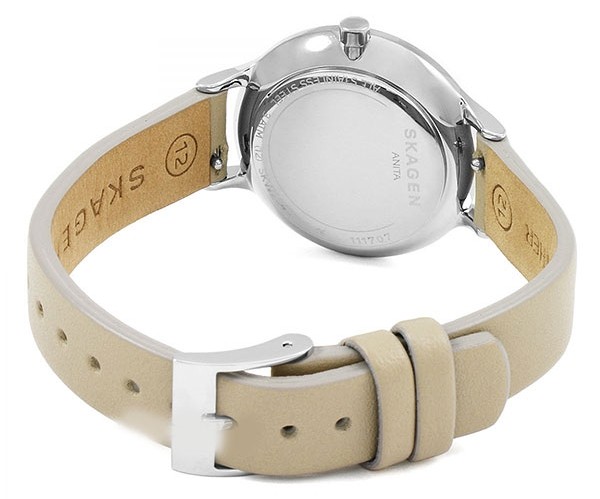Наручные часы Skagen SKW2648