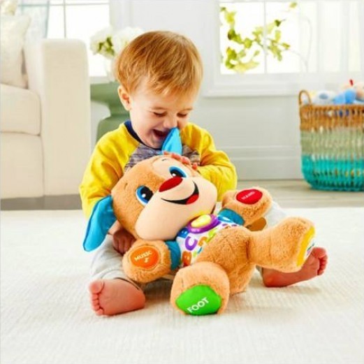 Интерактивная игрушка Fisher Price Puppy Smart Stages RO (FPN99)