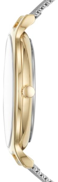 Ceas de mână Skagen SKW2702