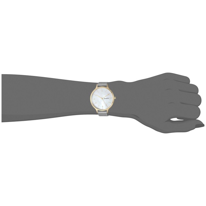 Ceas de mână Skagen SKW2702