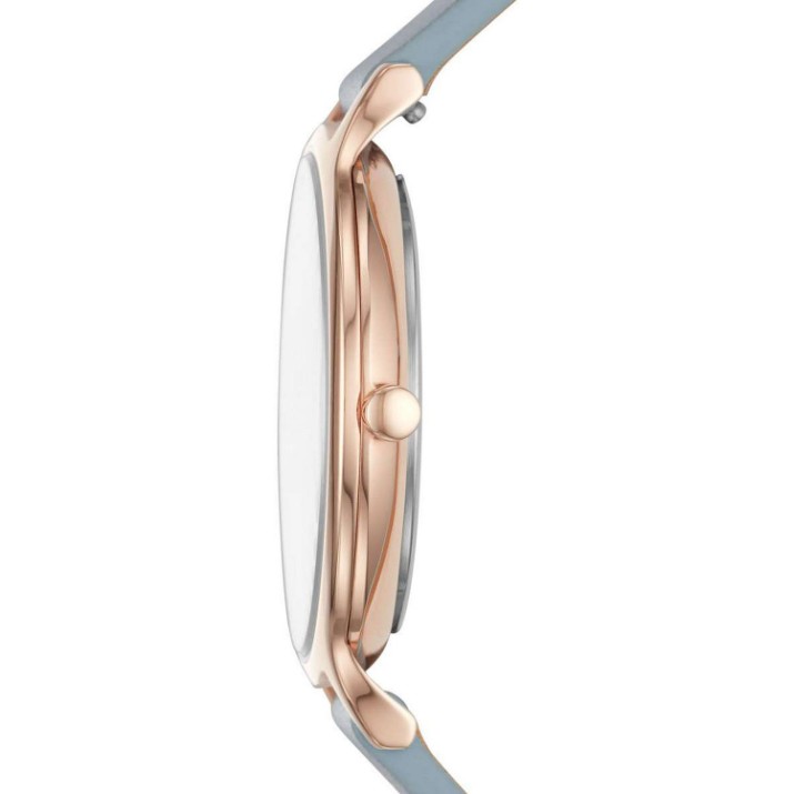 Наручные часы Skagen SKW2703