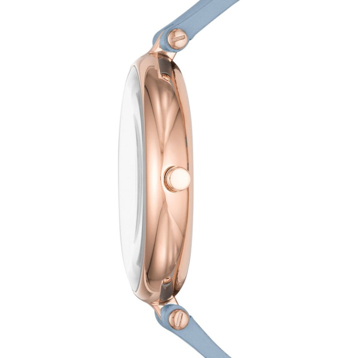 Наручные часы Skagen SKW2711