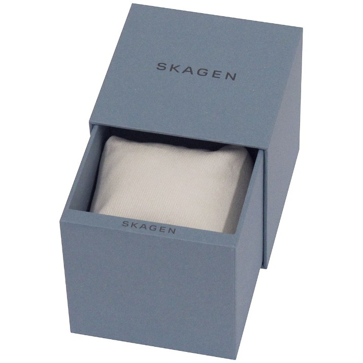 Ceas de mână Skagen SKW2714
