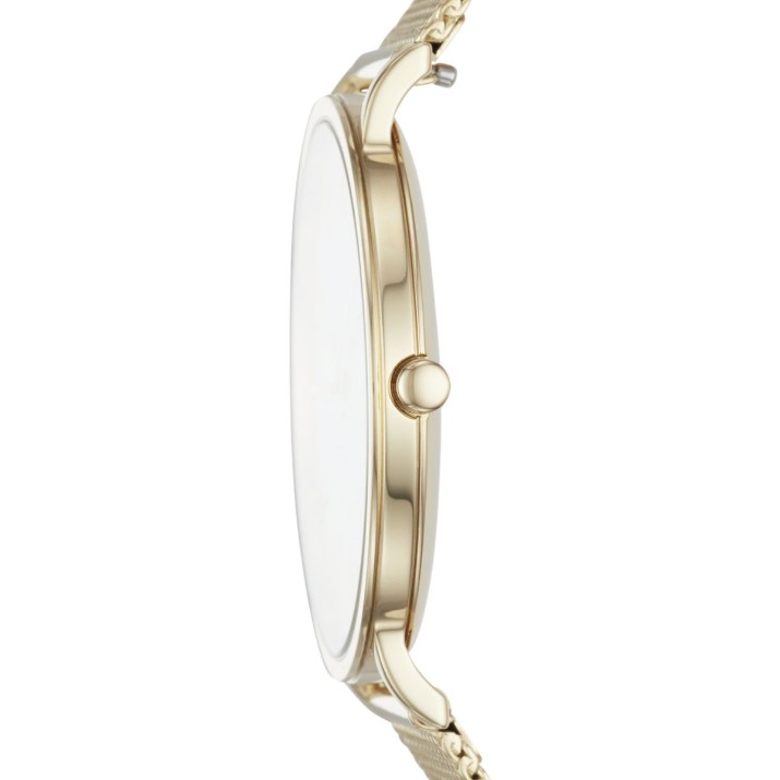 Наручные часы Skagen SKW6443