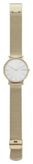 Наручные часы Skagen SKW6443