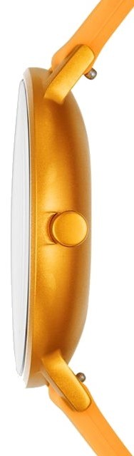 Наручные часы Skagen SKW6510