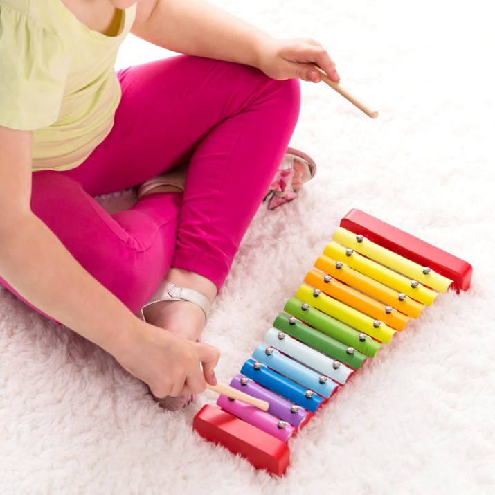 Xilofon Classic World Xylophone (4025) 