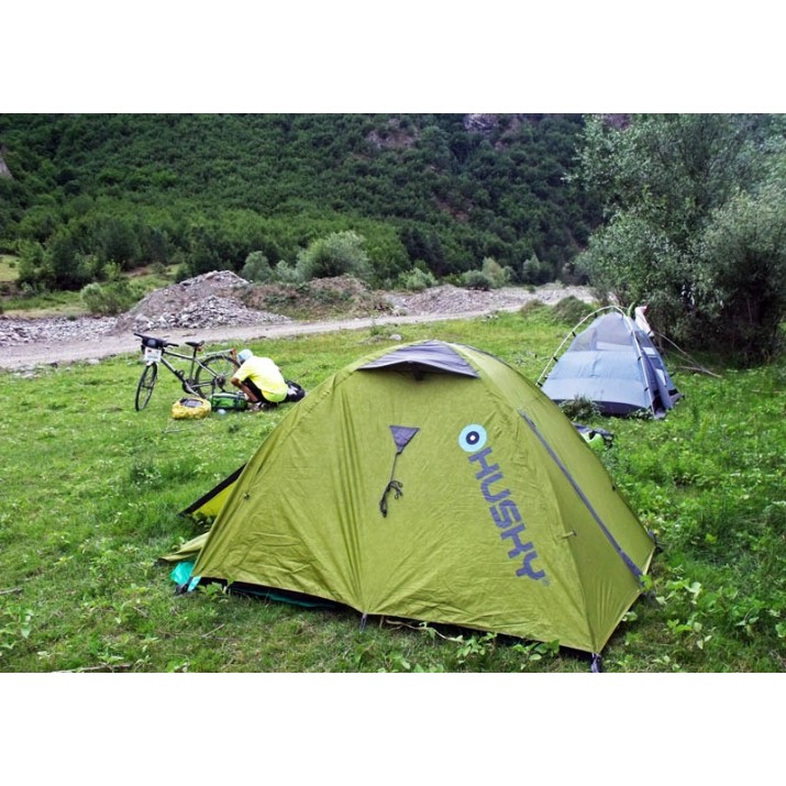 Cort Husky Bizam 2 Green Light