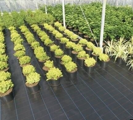Агроткань Greentech 90gsm (1x100)