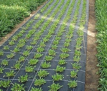 Агроткань Greentech 90gsm (3x100) 