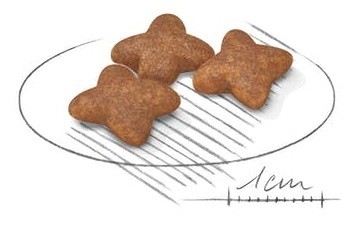 Hrană uscată pentru câini Royal Canin Mini Adult 8kg