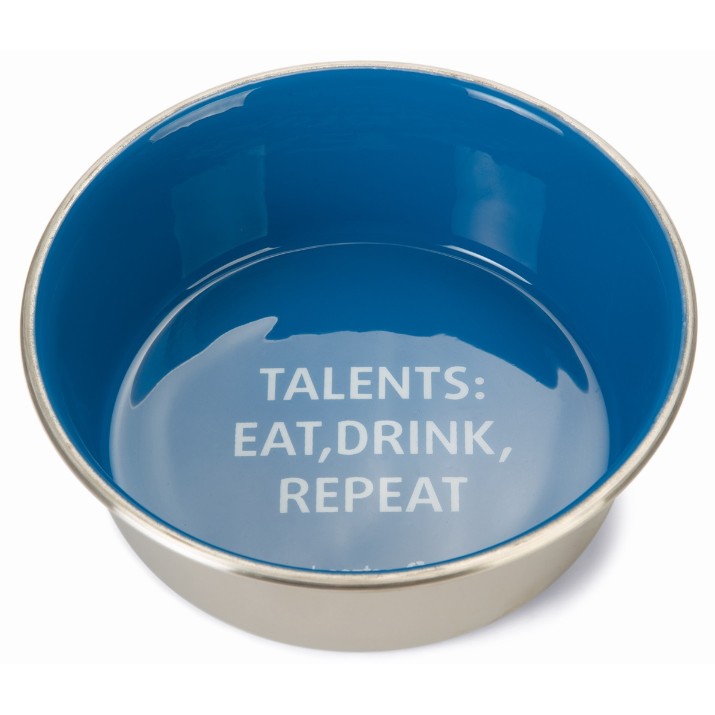 Bol pentru câini Beeztees Talents 653946