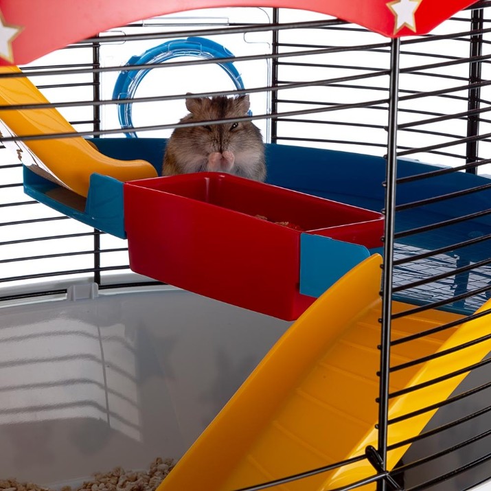 Клетка для грызунов Ferplast Circus Fun