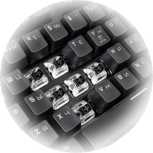 Tastatură Hator Rockfall EVO TKL