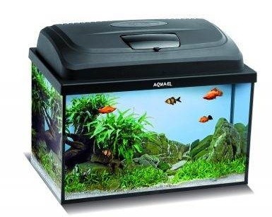 Аквариум Aquael Aqua4 Kids Rectangular 25L (113063)