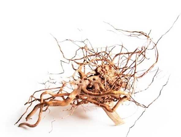 Декор для аквариумов и террариумов Aquael Root Driftwood S (109342)