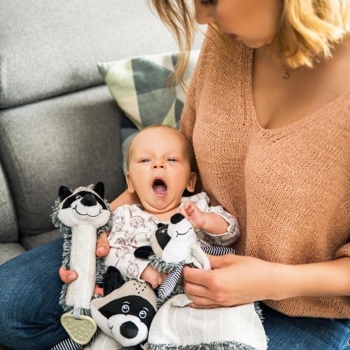 Carabinier pentru suzeta BabyOno Racoon Rocky (0747) 
