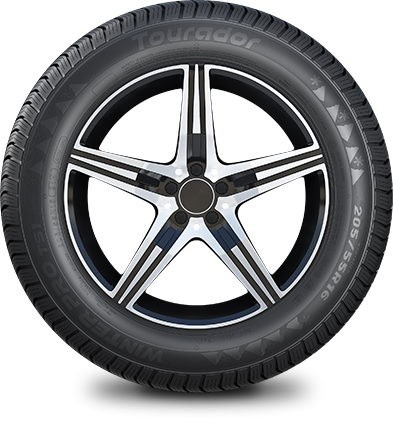 Шина Tourador Winter Pro TS1 215/60 R16 99H XL