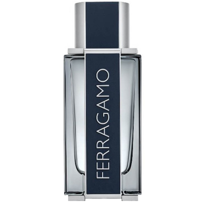 Parfum pentru el Salvatore Ferragamo Ferragamo EDT 100ml