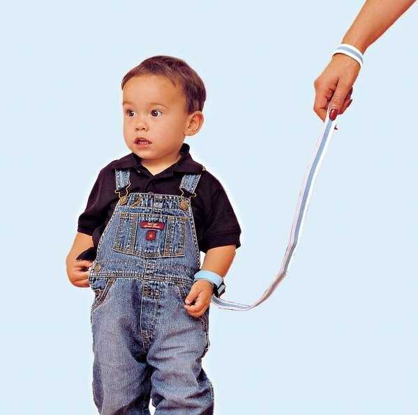 Вожжи детские DreamBaby Wirst Buddy (F202) 