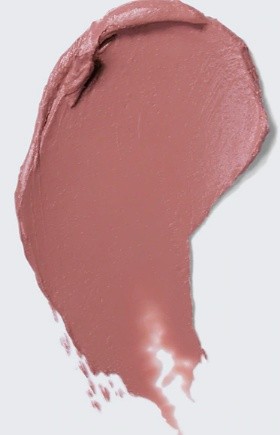 Помада для губ Estee Lauder Pure Color Envy Matte Sculpting Lipstick 547 Wilder