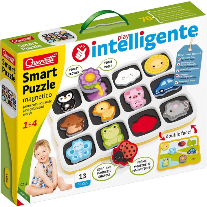 Развивающий набор Quercetti Smart (0231) 