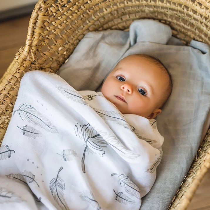 Пелёнки BabyOno Natural Bamboo 2pcs (0537/01) 