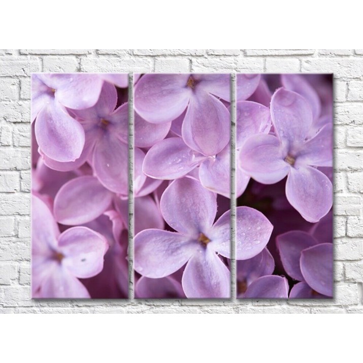 Pictură ArtPoster Abstraction from large flowers of lilac (500041)