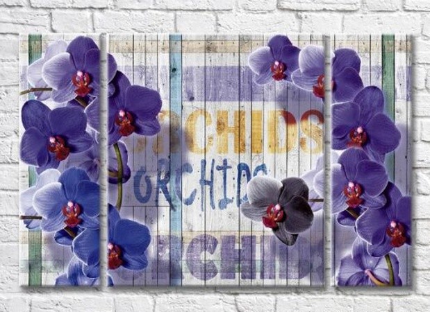 Картина Magic Color Branches of Lilac orchid on a plank background (3565155)