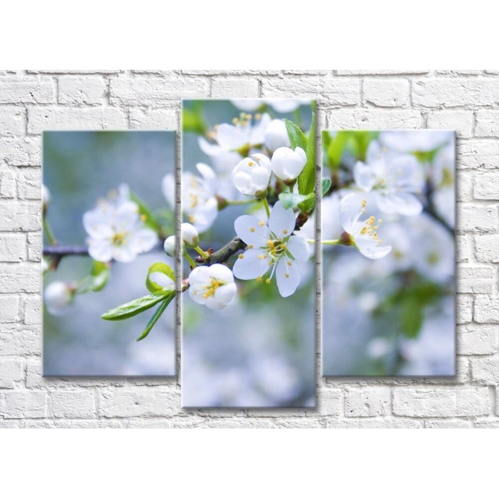 Pictură Magic Color Sakura branches with White flowers (500172)