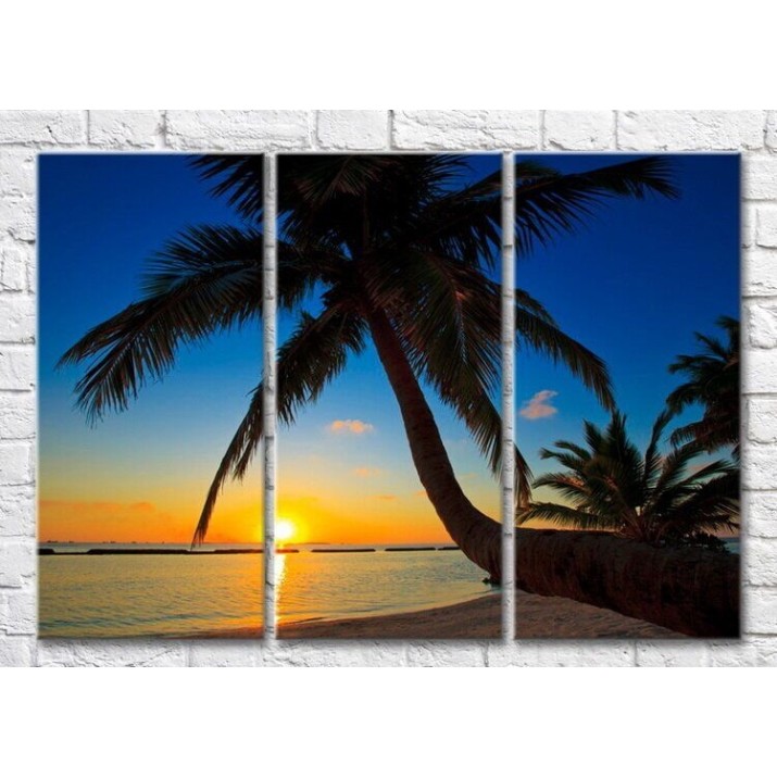 Pictură Magic Color Big palm tree on the beach during sunset (3469129)