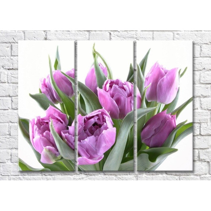 Pictură Magic Color Bouquet of Lilac tulips (500158)