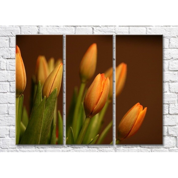 Картина Magic Color Bouquet of Orange tulips on a Dark background (500147)