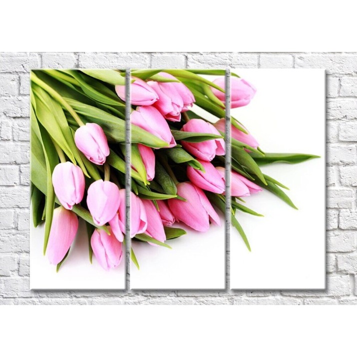 Pictură Magic Color Bouquet of Pink tulips on a White background (500155)