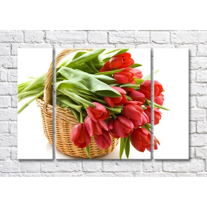 Картина Magic Color Bouquet of Red tulips in a basket (500143)