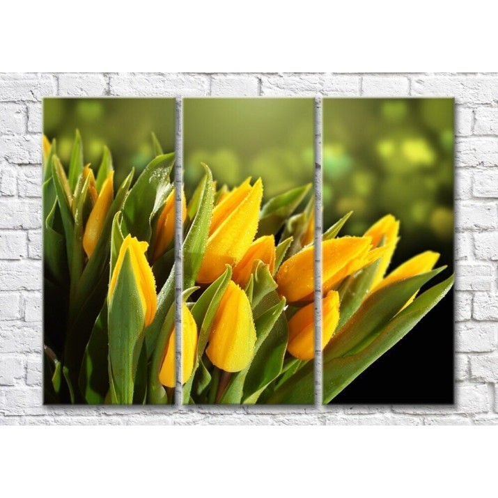 Pictură Magic Color Bouquet of Yellow tulips on a Dark/Green background (500117)