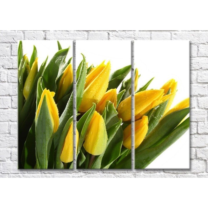 Pictură Magic Color Bouquet of Yellow tulips with dew drops (500118)