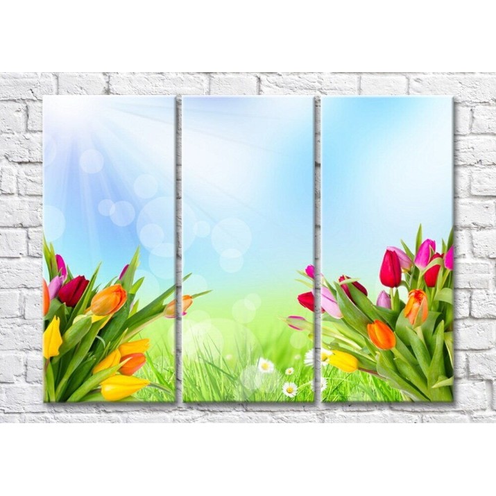 Картина Magic Color Bouquets of multicolored tulips on a Sunny background of a Green meadow (500168)