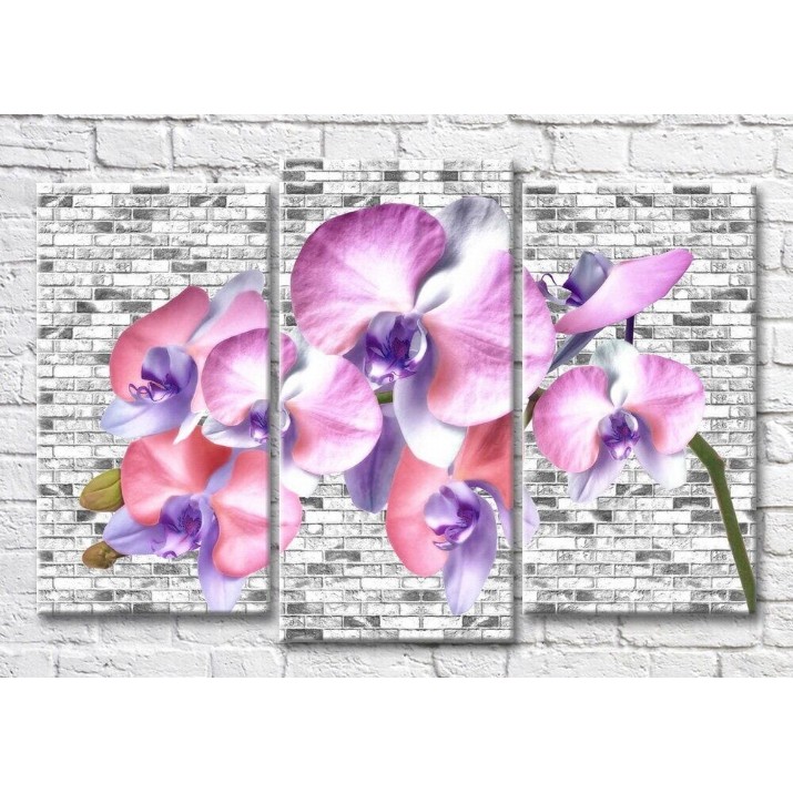 Картина Magic Color Branch of Lilac orchid on a brick background (3565188)