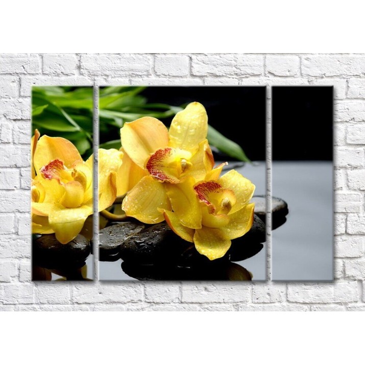 Pictură Magic Color Branch of Yellow orchid on wet Black pebbles (500184)
