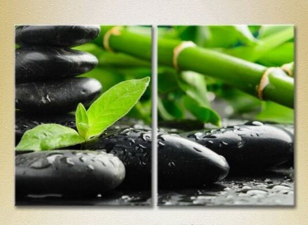 Pictură Magic Color Diptych Bamboo and massage stones (2613746)