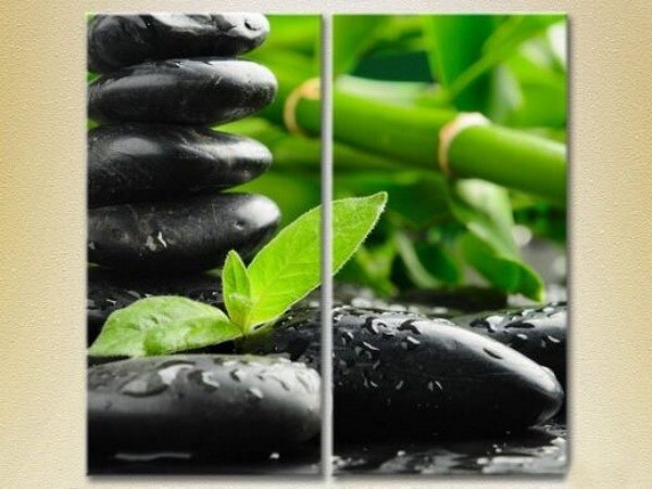 Pictură Magic Color Diptych Bamboo and massage stones (2613748)