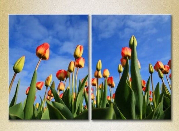 Pictură Magic Color Diptych Field of tulips (2613815)