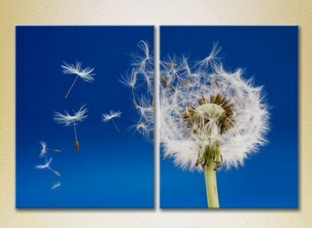 Pictură Magic Color Diptych Flying Dandelion (2613820)